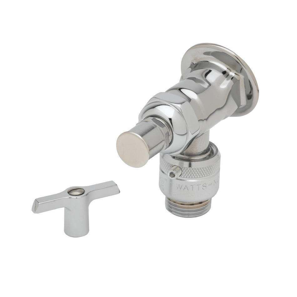 Sill Faucet, Vacuum Breaker, 3/4" NPT Female Flanged Inlet, 3/4" Hose Threads, Polished