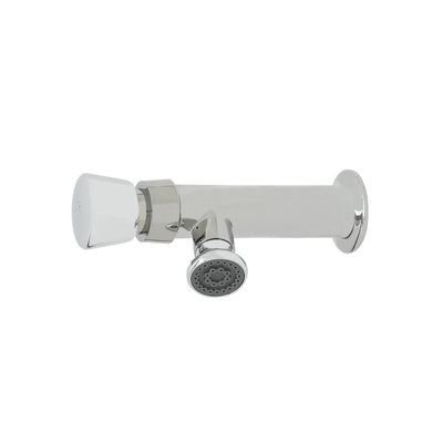 T&S Brass B-0800-F10 Metering Wash Sink Faucet - 1.0 GPM Rosespray