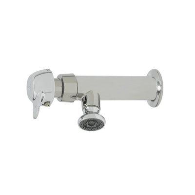 T&S Brass B-0800-PA Wash Sink Faucet - Pivot Action & Rosespray