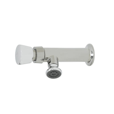 T&S Brass B-0800 Wash Sink Metering Faucet - Push-Button Handles Rose-Spray Outlet