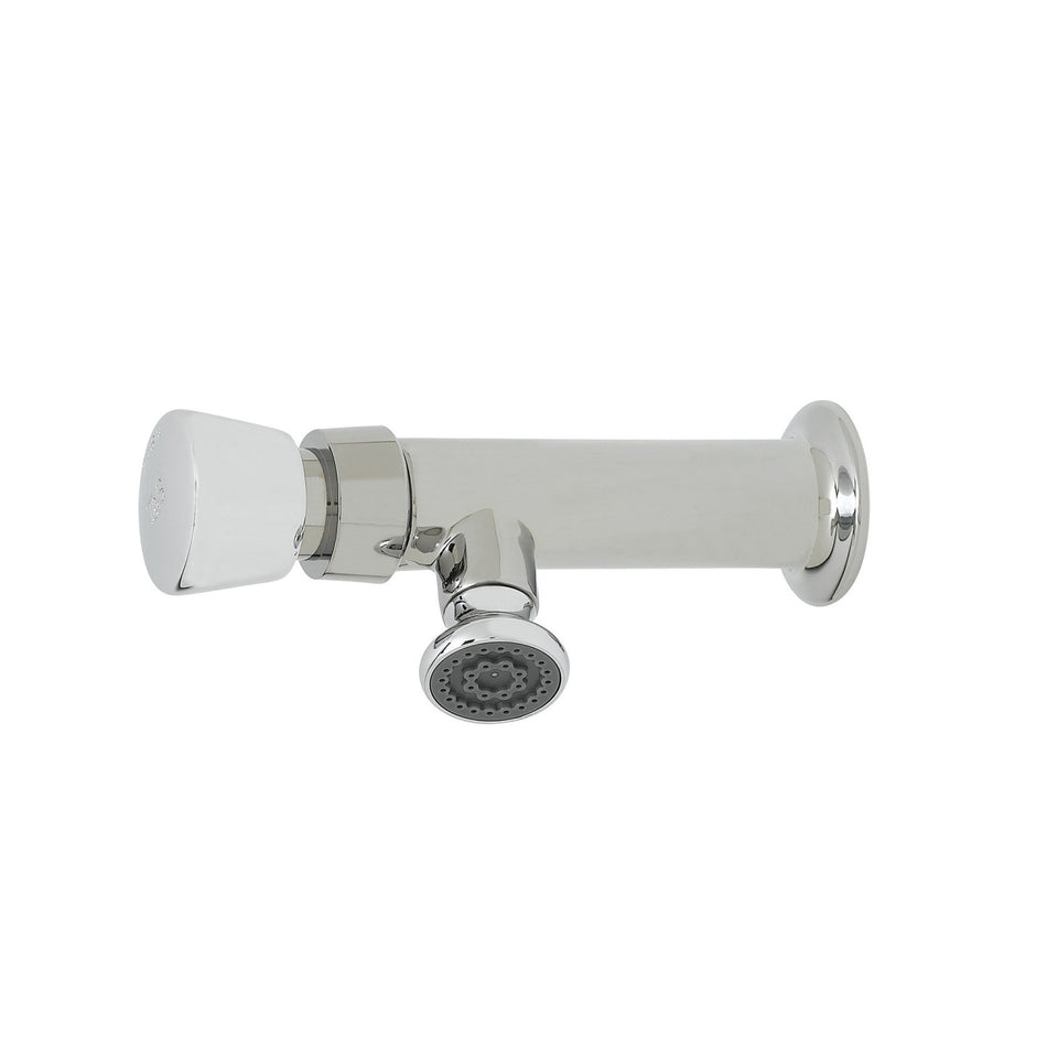 T&S B-0800 Wash Sink Faucet, Push Button, 6 1/2 in