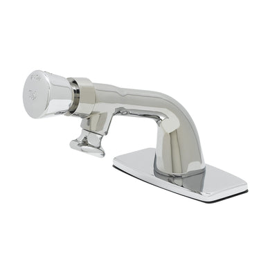T&S Brass B-0806-VR Single Temp Metering Faucet - VR Security & Rosespray