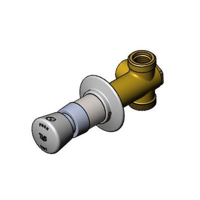 T&S Brass B-1029-2 Concealed Straight Metering Valve - VR Hot