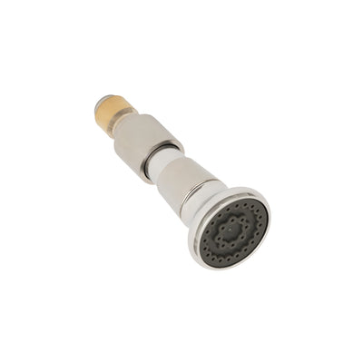 T&S Brass B-1427 Rosespray Head - Quick Connect
