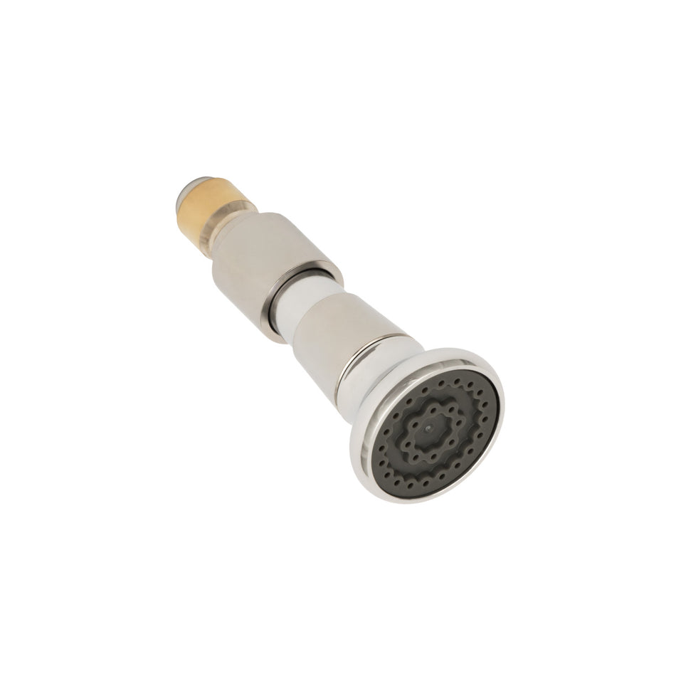 T&S Brass B-1427 Rosespray Head - Quick Connect
