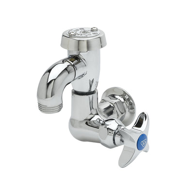 T&S Brass B-2301 Basin Sill Faucet - Single Temp & 3/4" Hose Outlet