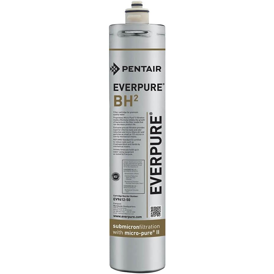 Pentair Everpure - 9612-51 - BH(2) Replacement Cartridge 1 pack