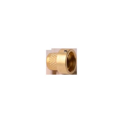 DiversiTech® Valve Cap Brass VCC-4