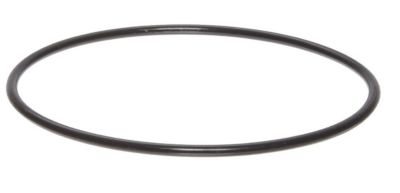 Everpure® O-Ring Buna-N Big Blue 151122
