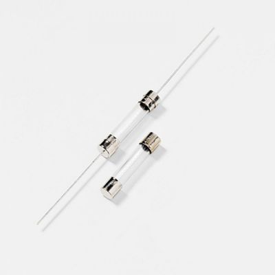 Littelfuse Fuse 2 Amp 250 VAC 0313002VXP