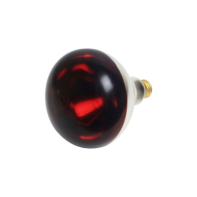 Thunder Group SEJ92001R 250-watt Heat Lamp Bulb Red Uncoated Replacement