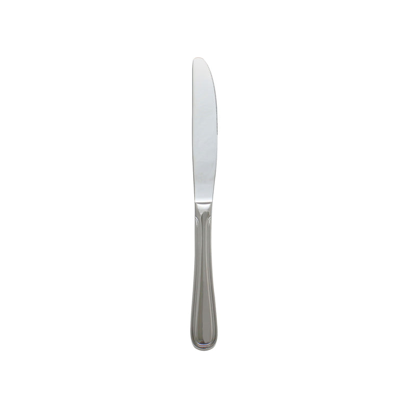 Thunder Group SLAT209 9 Inch Dinner Knife 8mm Thick Solid Handle 420 Stainless Steel