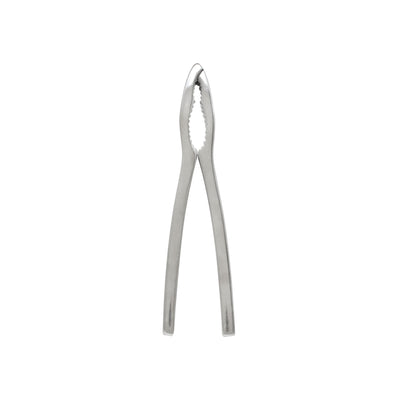 Thunder Group SLLC006B 6 Inch Lobster Cracker Stainless Steel Jagged Ridges Handles