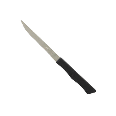 Thunder Group SLSK117 4-1/4 Inch Pointed Tip Serrated Steak Knife Plastic Handle