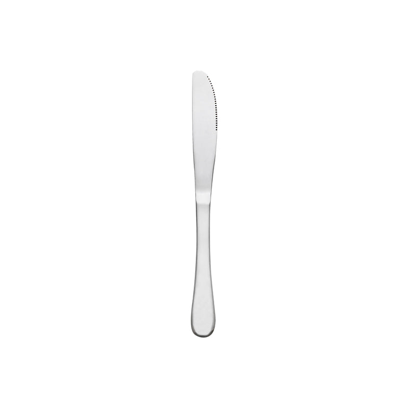 Thunder Group SLTE109 8.78 Inch Dinner Knife Simple Line-trimmed Handle 18/0 Stainless Steel Bright Finish