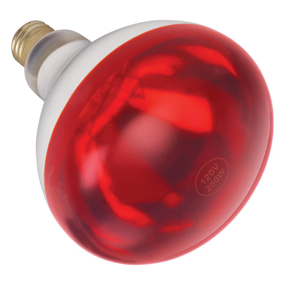 Winco EHL-BR 250 Watt Red Heat Lamp Bulb for EHL-2250 Warming Equipment