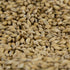 55lb Gambrinus ESB Pale Malt - Extra Special British