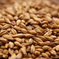 10lb Weyermann  CaraRed Malt