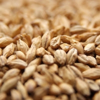 55lb Weyermann Carafoam Malt