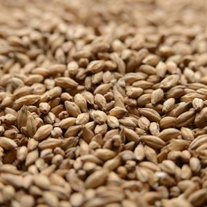 55lb Peated Malt Simpsons UK
