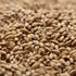 Simpsons Peated Malt 10lb