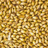 Simpsons Crystal Light 10lb