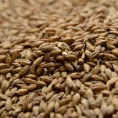 50lb 2-Row Briess Brewers Malt - High-Quality Base Malt for Beer Brewing