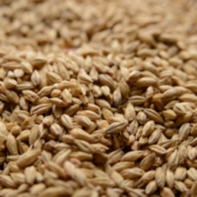 50 lb Briess Pale Ale