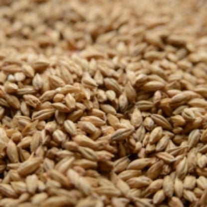 50 lb Briess Pale Ale
