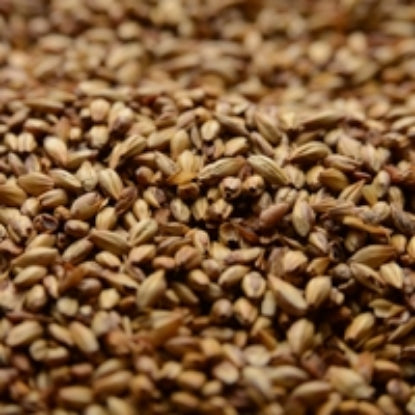 Briess Caramel 40L Malt - 50 lb. Bulk Bag