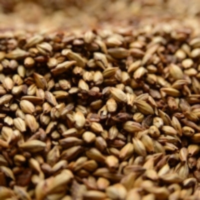 Briess Caramel 60L Specialty Malt - 50 lb Bulk Bag