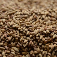 50 lb Briess Victory Malt