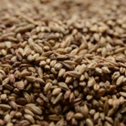 50 lb Briess Victory Malt