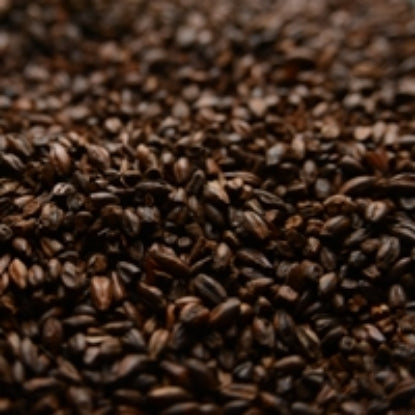50 lb Briess Chocolate