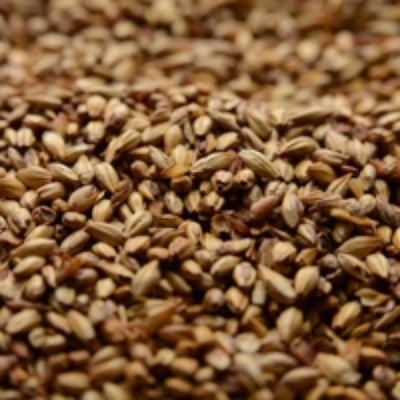 Briess Caramel 40L Specialty Malt - 10 lb Bag for Golden Color & Sweet Caramel