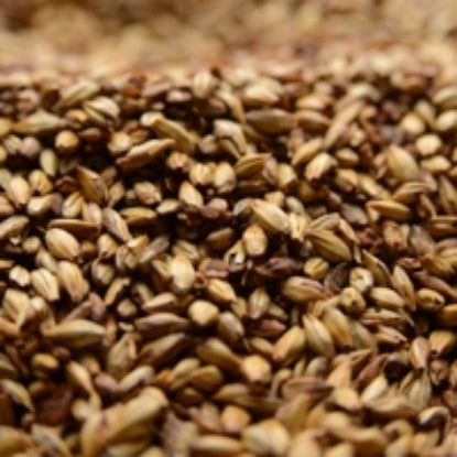 10LB Caramel 60L Malt - Briess Malting