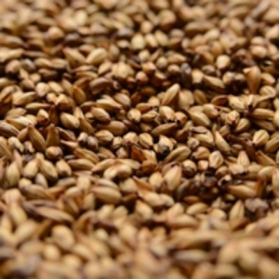 Briess Caramel 120L Specialty Malt - 10 lb Bag for Deep Color & Toffee Flavor