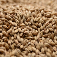 55lb Malt Co Ireland Irish Ale Malt