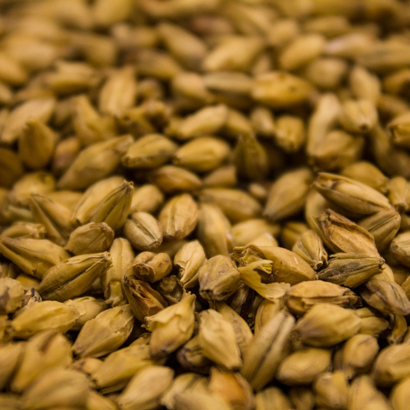 Weyermann® Barke® Vienna Malt - 55 lb Bulk Bag Heirloom Brewing Grain