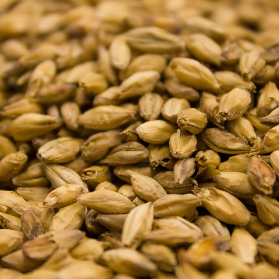 10lb Weyermann  Barke Pilsner Malt - Perfect Malt for Crisp, Refreshing Pilsners
