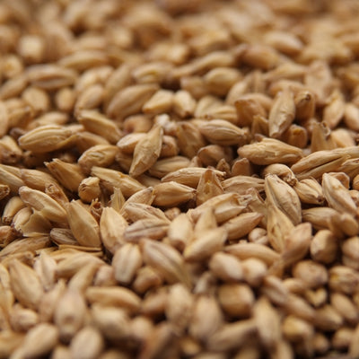 Rahr Pilsner Malt - 10 lb Bag - American Lager Base Grain