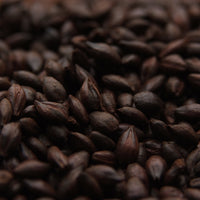 55lb Weyermann Carafa Special Type 3 Dehusked - Specialty Malt for Dark, Rich Flavors
