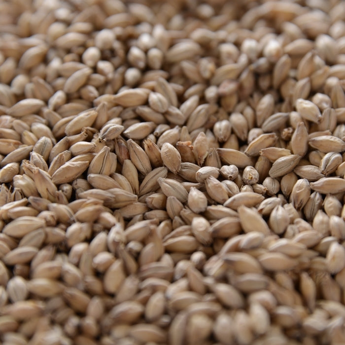 55lb Crisp Chevallier Heritage Malt