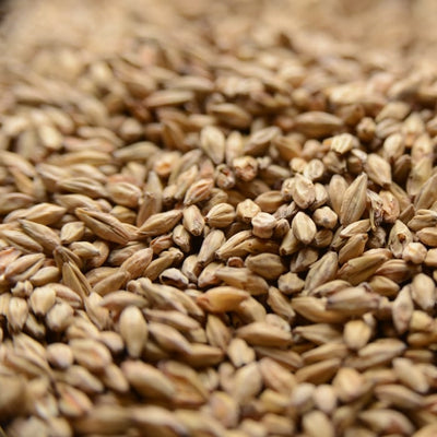 Gambrinus Honey Malt - 10 lb Bag for Intense Malt Sweetness