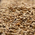 Gambrinus Honey Malt 10lb