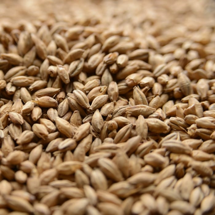 55lb Malt Co Ireland Distillers Malt
