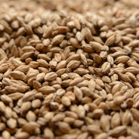 55lb Malt Co Ireland Stout Malt