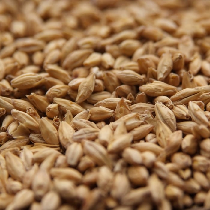 10lb Rahr Pilsner Malt - American, Lager-Style Base Malt