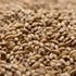 Simpsons Peated Malt 10lb