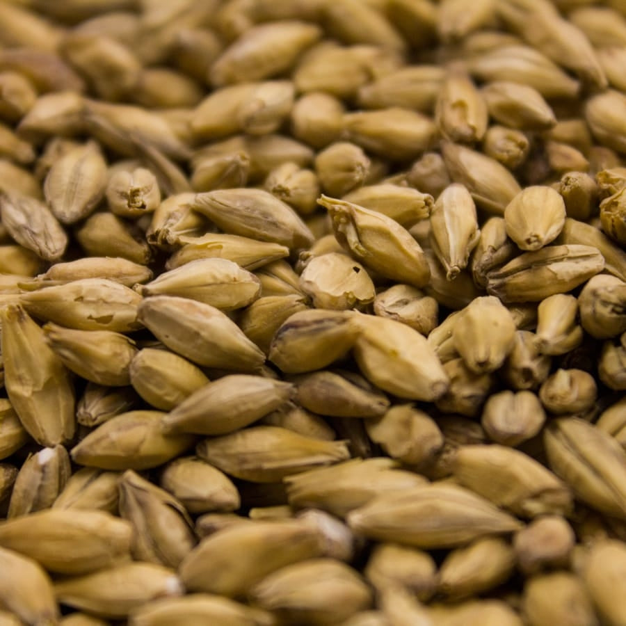 55lb Barke Pilsner Malt